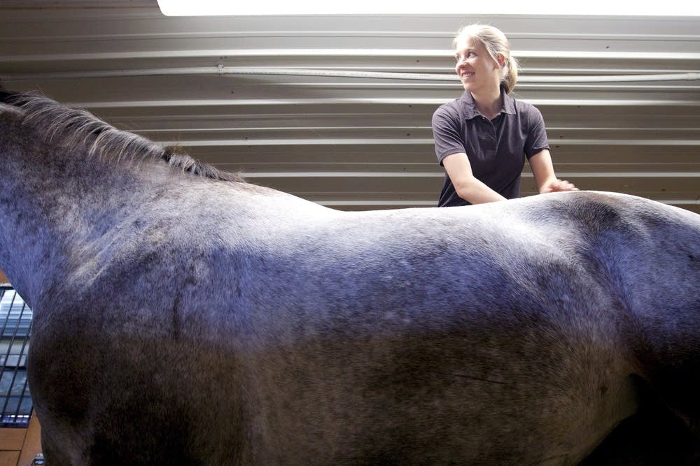 Animal chiropractor