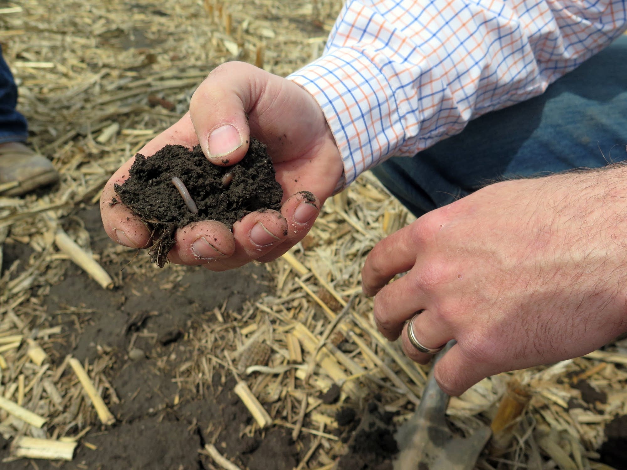 The soil on Brian Fruechte's farm is still too wet and cold to plant.