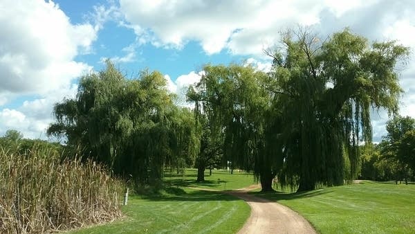 Summerlike Friday, cooler weekend; comfy temps next week