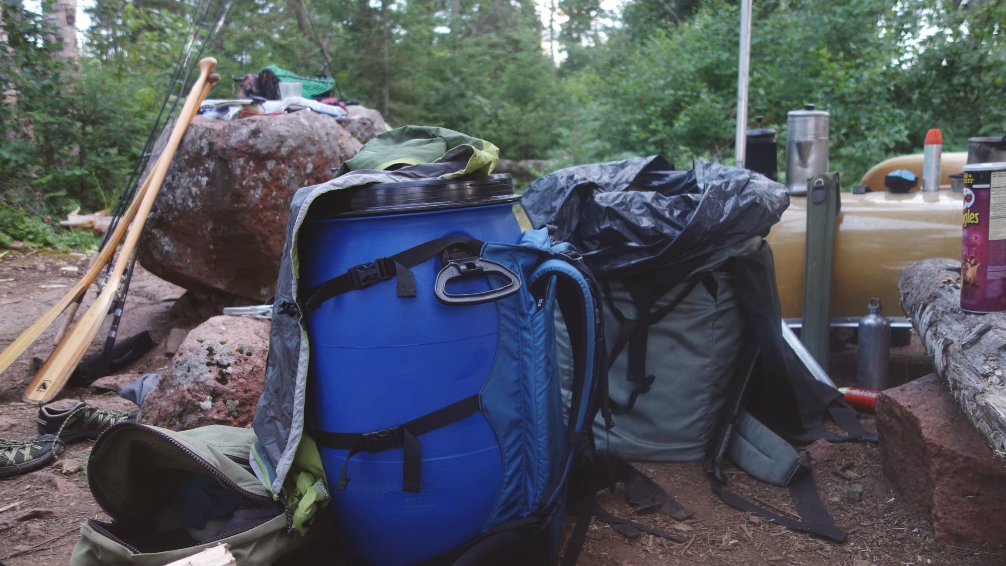 A bear-resistant container and portage pack
