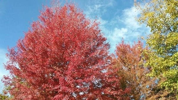 Trending warmer through Sunday