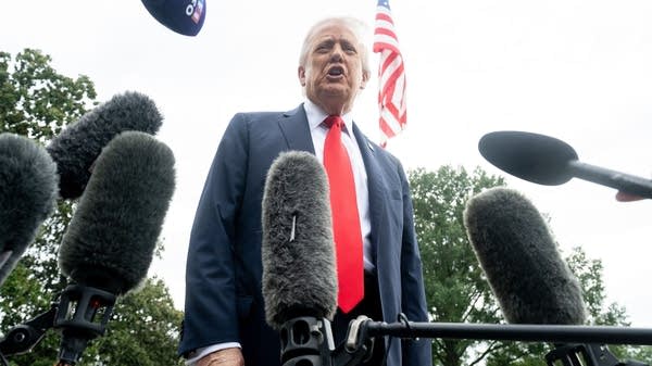 How can we describe Trump's economic interventions?