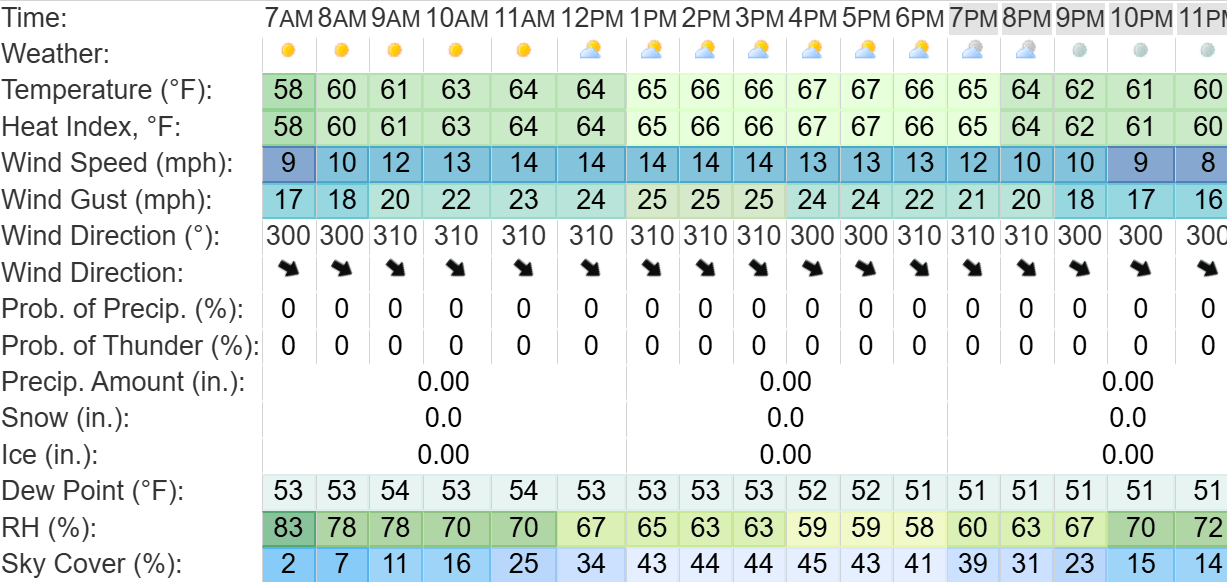 Saturday hourly forecast