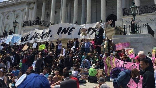 Protesters on the U.S. Capitol steps