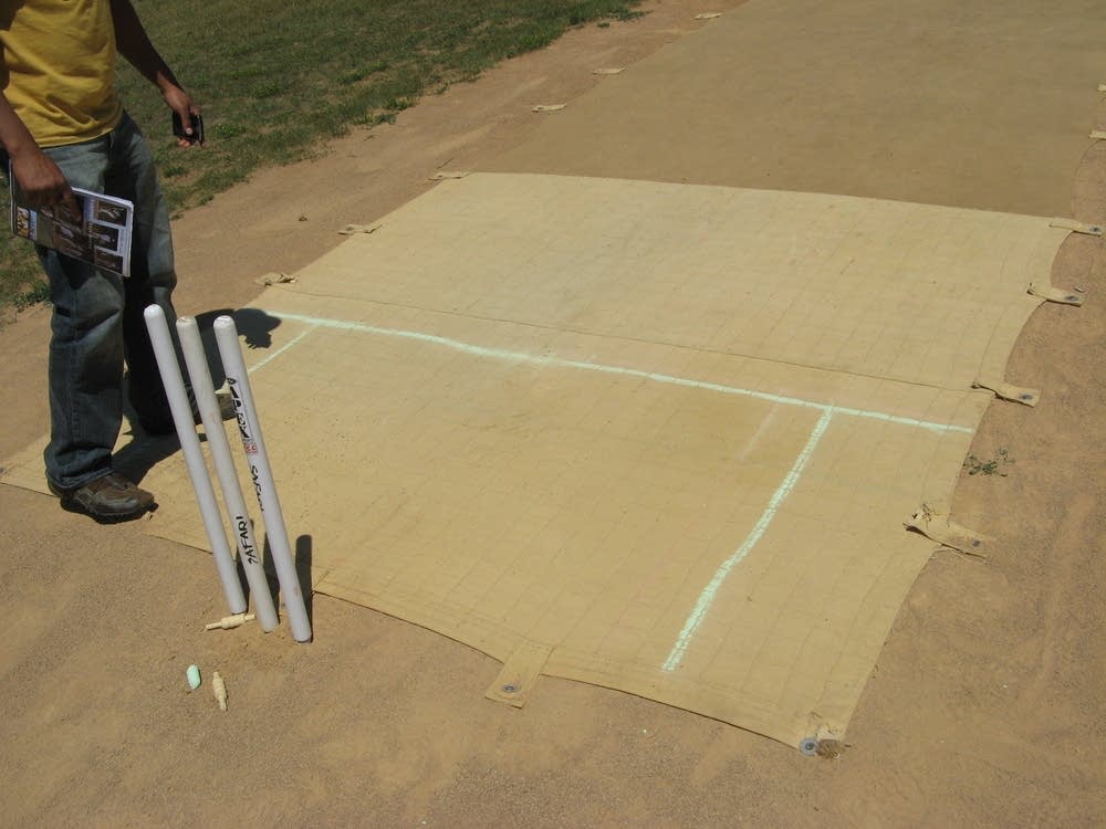 Cricket wicket