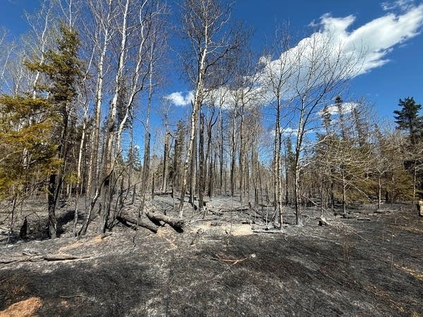 34 buildings damaged by wildfire near Two Harbors; Highway 61 still closed