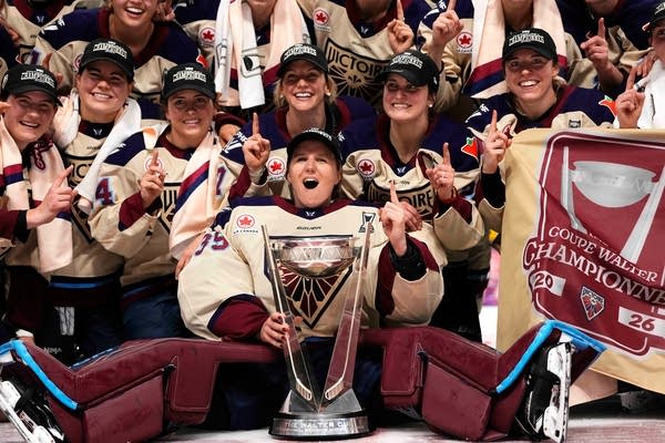 PWHL Adding Investors Hockey