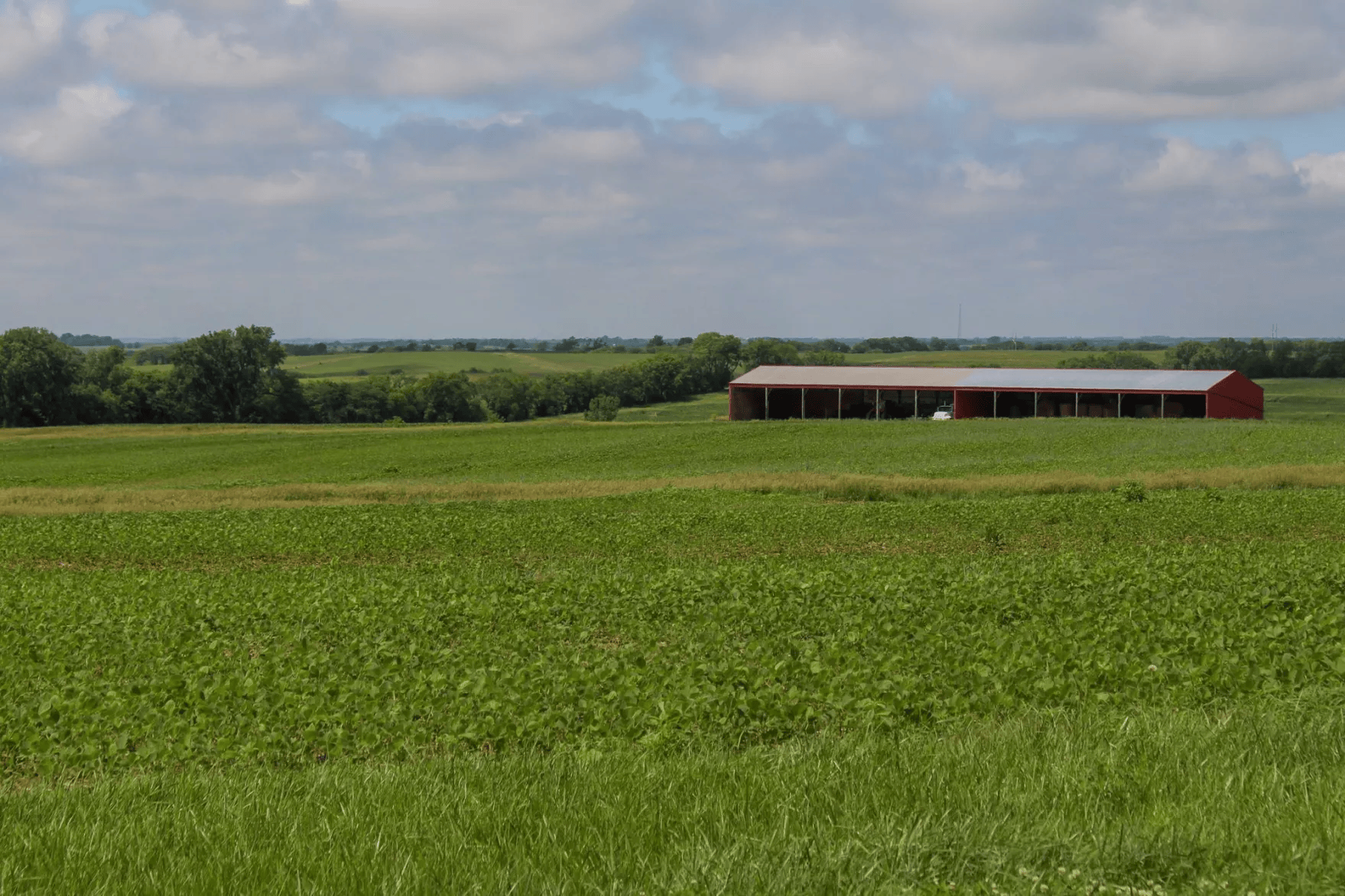 A field