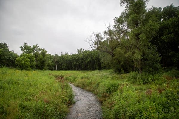A creek