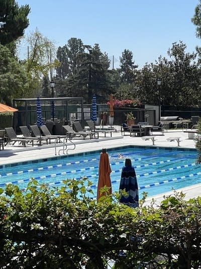 A country club pool. Reclining chairs are arranged in rows along it.