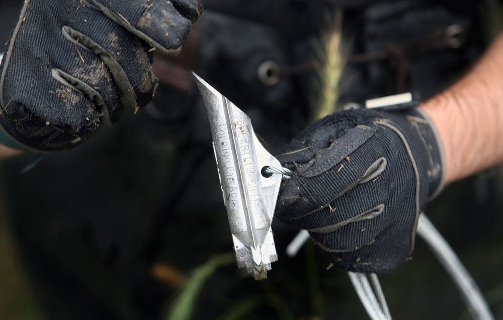 Anchors are used to attach trees to the bank.