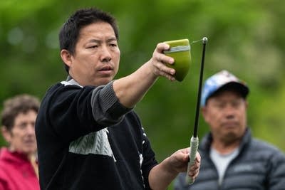 Tuj Lub tournament