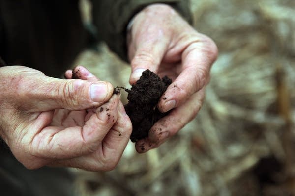 No-till dirt