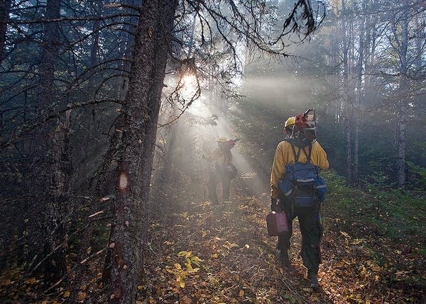 Windy, cool weather helps and hinders BWCA firefighters