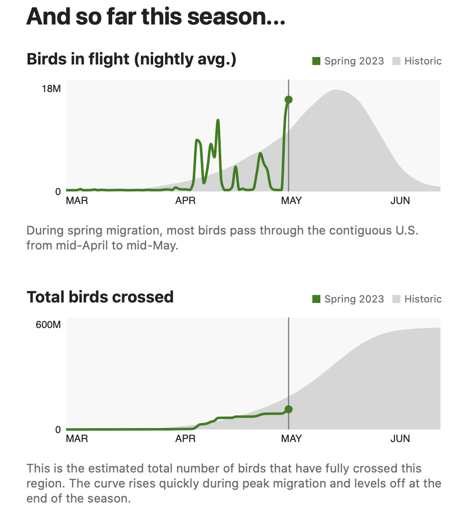 total birds
