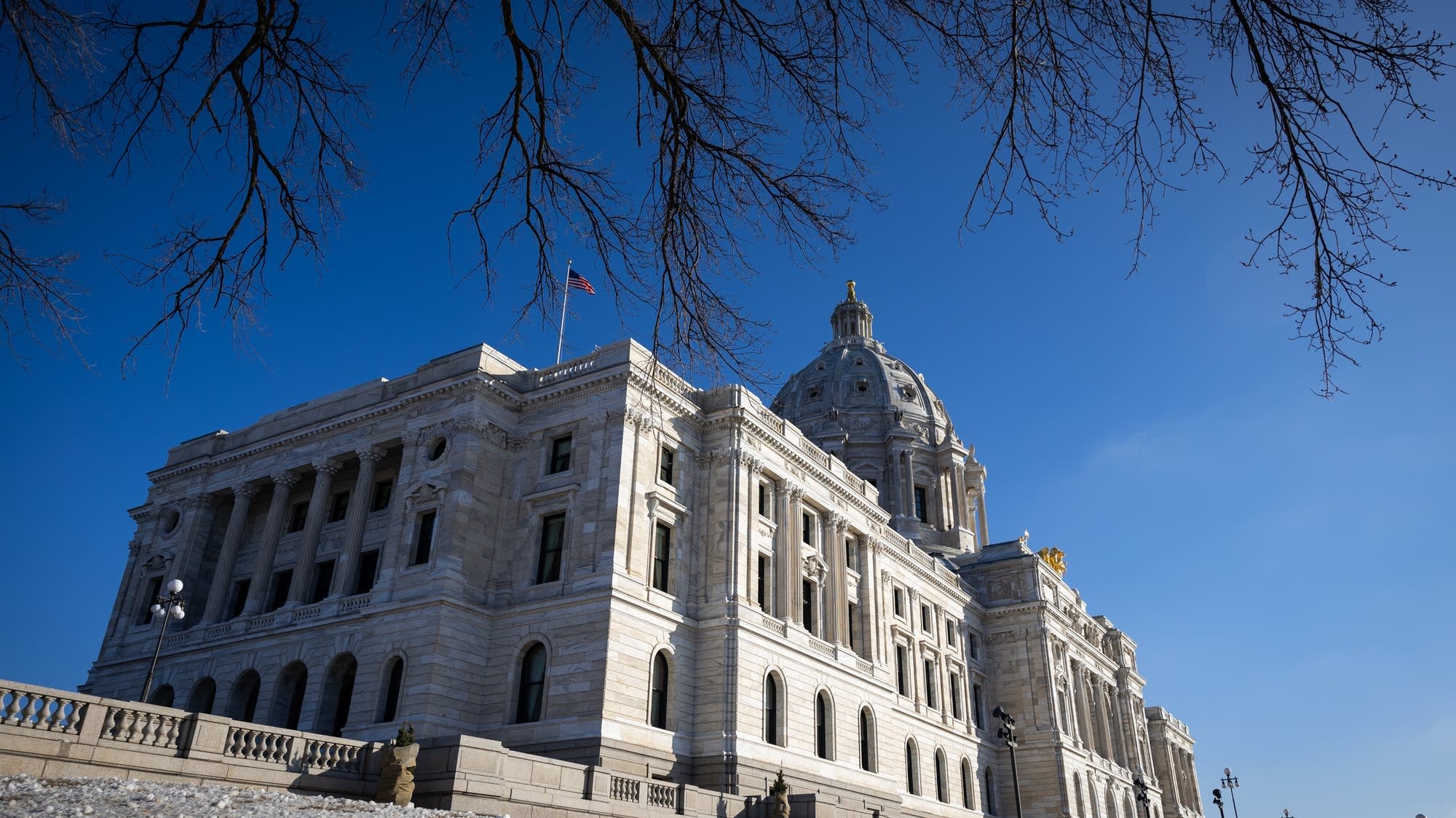 DFL fastracks fix on school resource officers using prone restraints - Vimarsana News