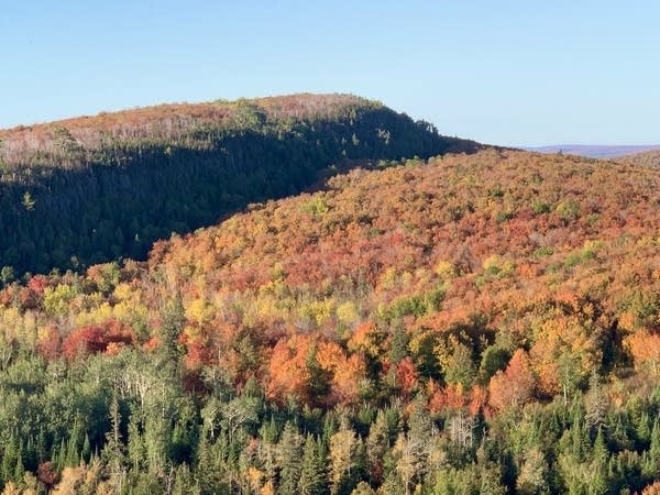 A view of fall colors on a mountain. 