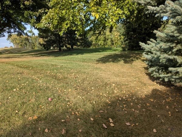 Crunchy leaves and dry lawn
