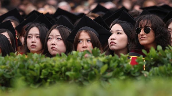 Some companies are investing money in AI rather than the hiring of recent graduates.