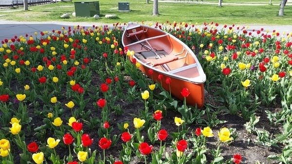 Weekend forecast: Dry; Saturday is the coolest day