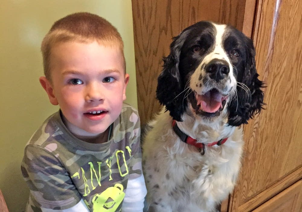 Gus and Layla. Layla died in August, 2015.