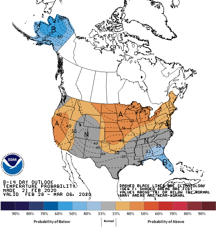 NOAA 8 to 14-day temperature outlook