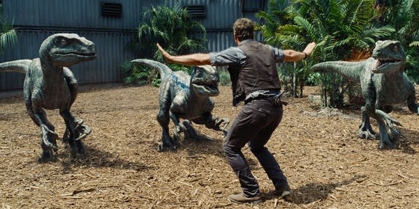 Owen (Chris Pratt) attempts to keep the raptors at bay in 'Jurassic World'. This moment in the film has formed the basis for a new meme that's sweeping the Internet, particularly among zookeepers.