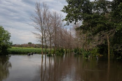 a lookout point at a creek completely flooded 