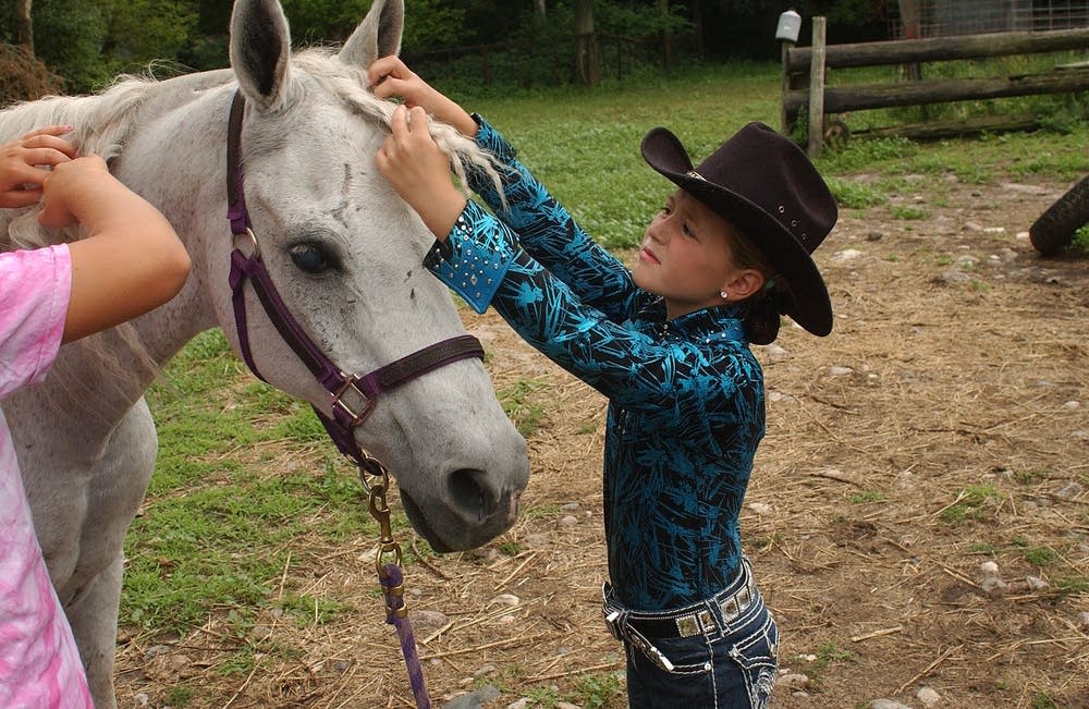 Blind horse