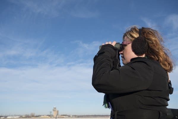 A woman looks for snowy owls