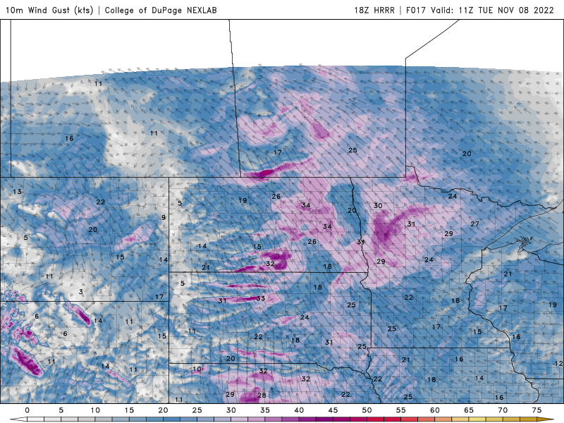 tues winds