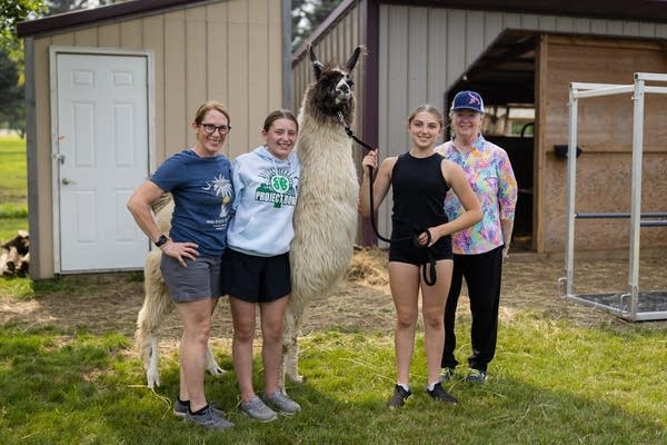 Four people pose with a llama