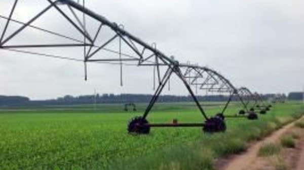 Farmers change crop rotation to protect drinking water | MPR News