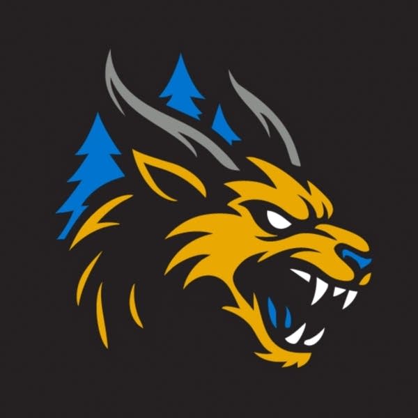 A logo for a football team
