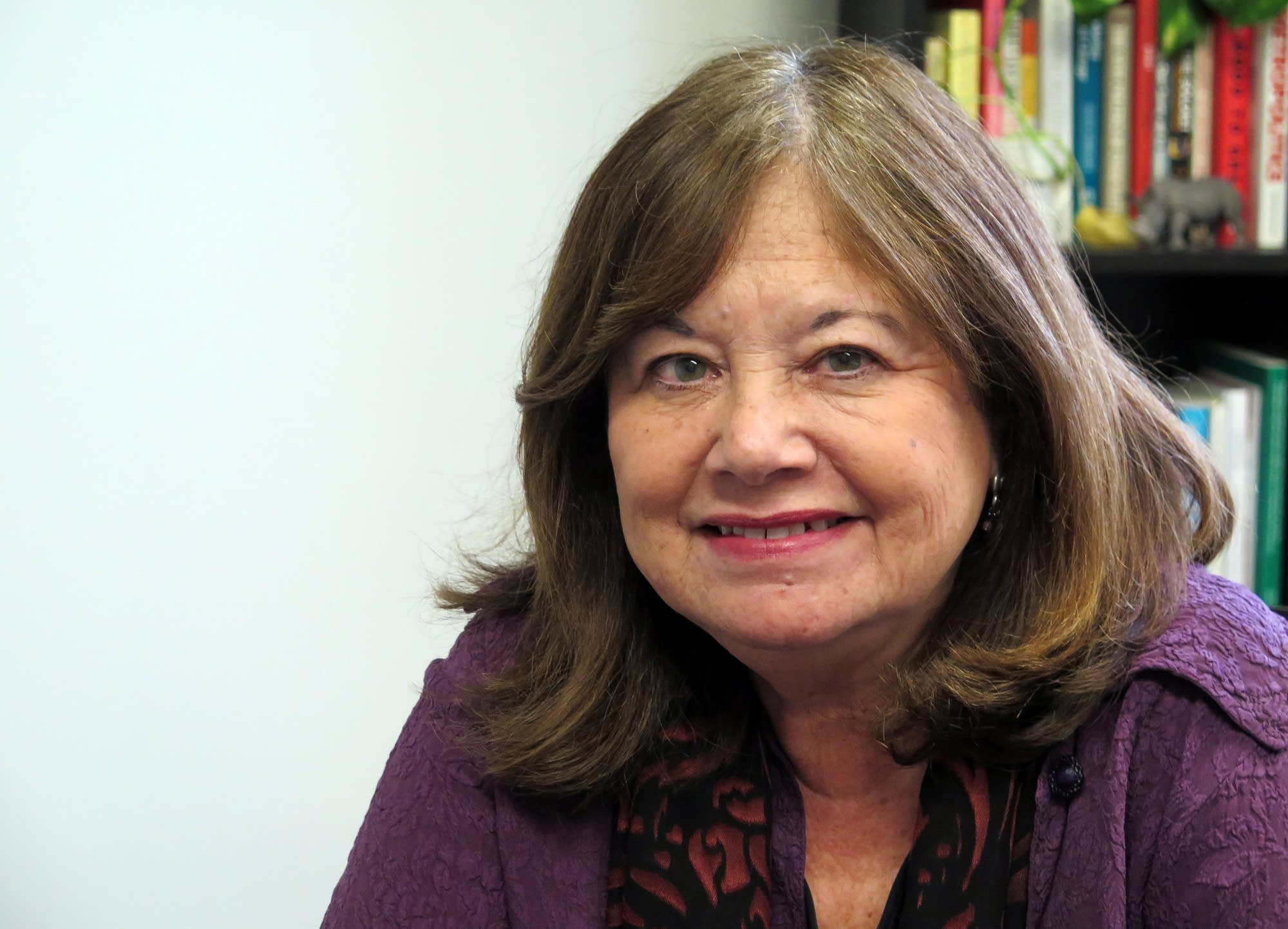 Gail Dorfman runs St. Stephen's Human Services.