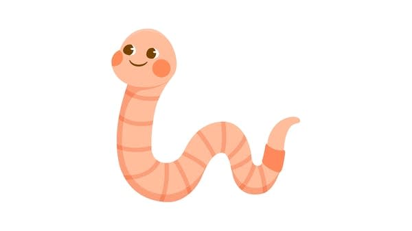 Cartoon drawing of smiling, cute, pink earth worm