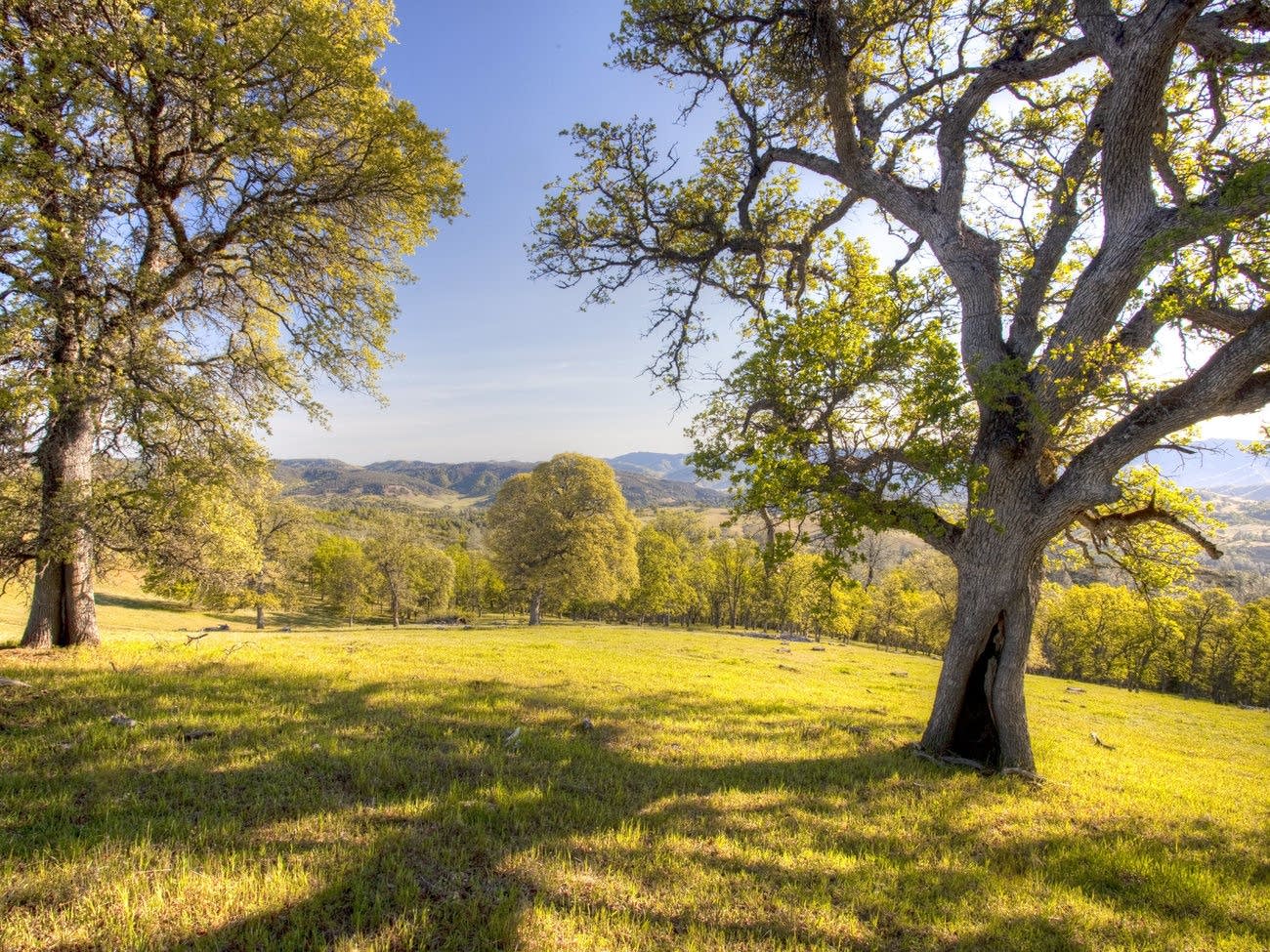 Berryessa Snow Mountain National Monument
