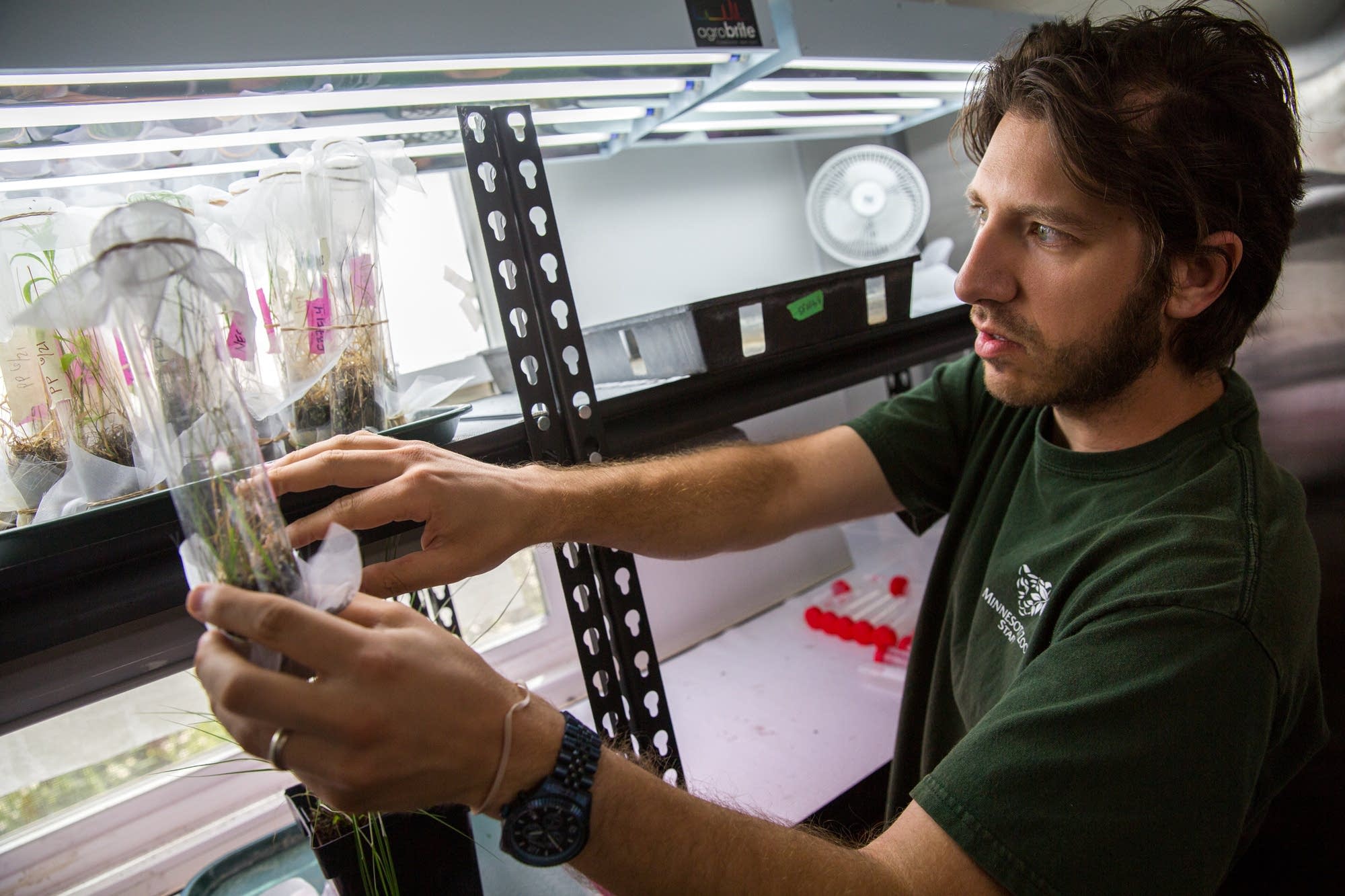 Clayton Burggraff checks on specimens.
