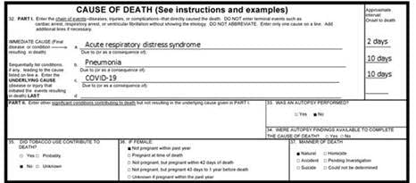 An example of an official death certificate