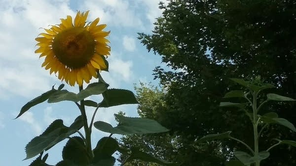 Hot Labor Day; stormy Tuesday; then cooler