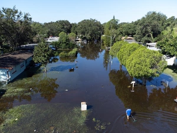 A resident wading through the water in a flooded neighborhood. A white house seems to float on the water, and the water line nearly reaches the canopies of leafy green trees.