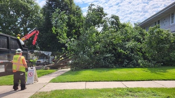 Crews work to remove a tree downed by strong storms