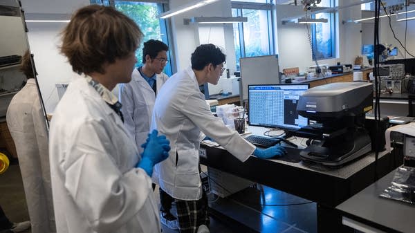 Uncertainty, anxieties about doctoral programs
