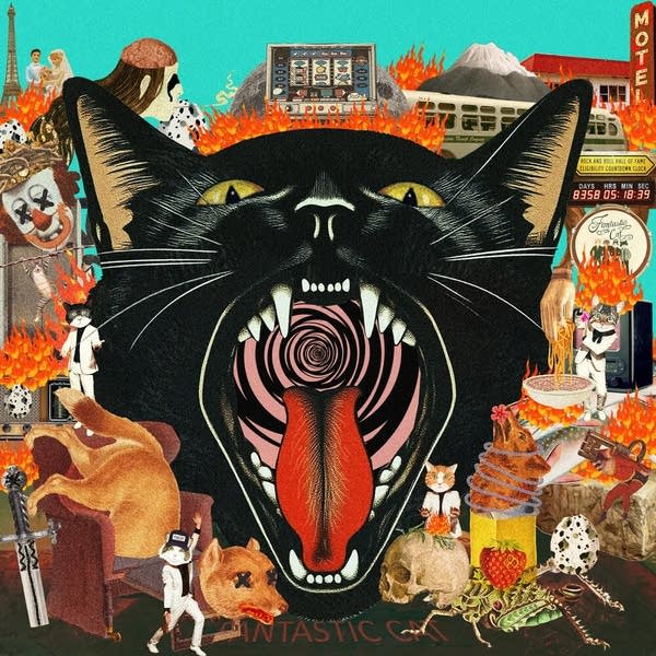 Fantastic Cat - Cat Out of Hell