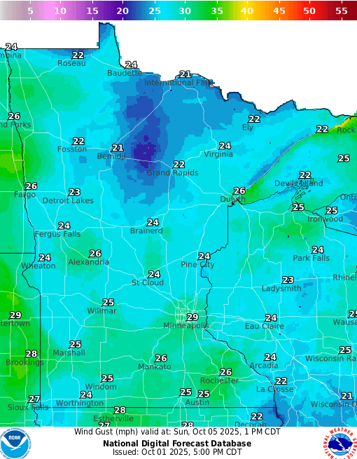Forecast wind gusts