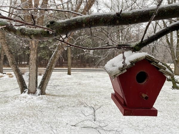 Paul Huttner & Cathy Wurzer talk weather: 3-30-22 edition