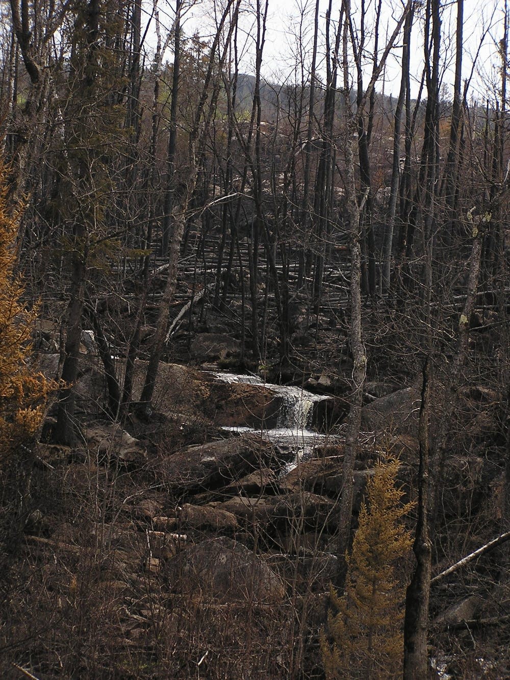 Waterfall