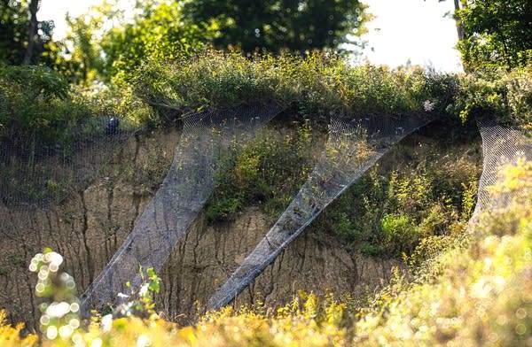 Nets on a sloping hillside