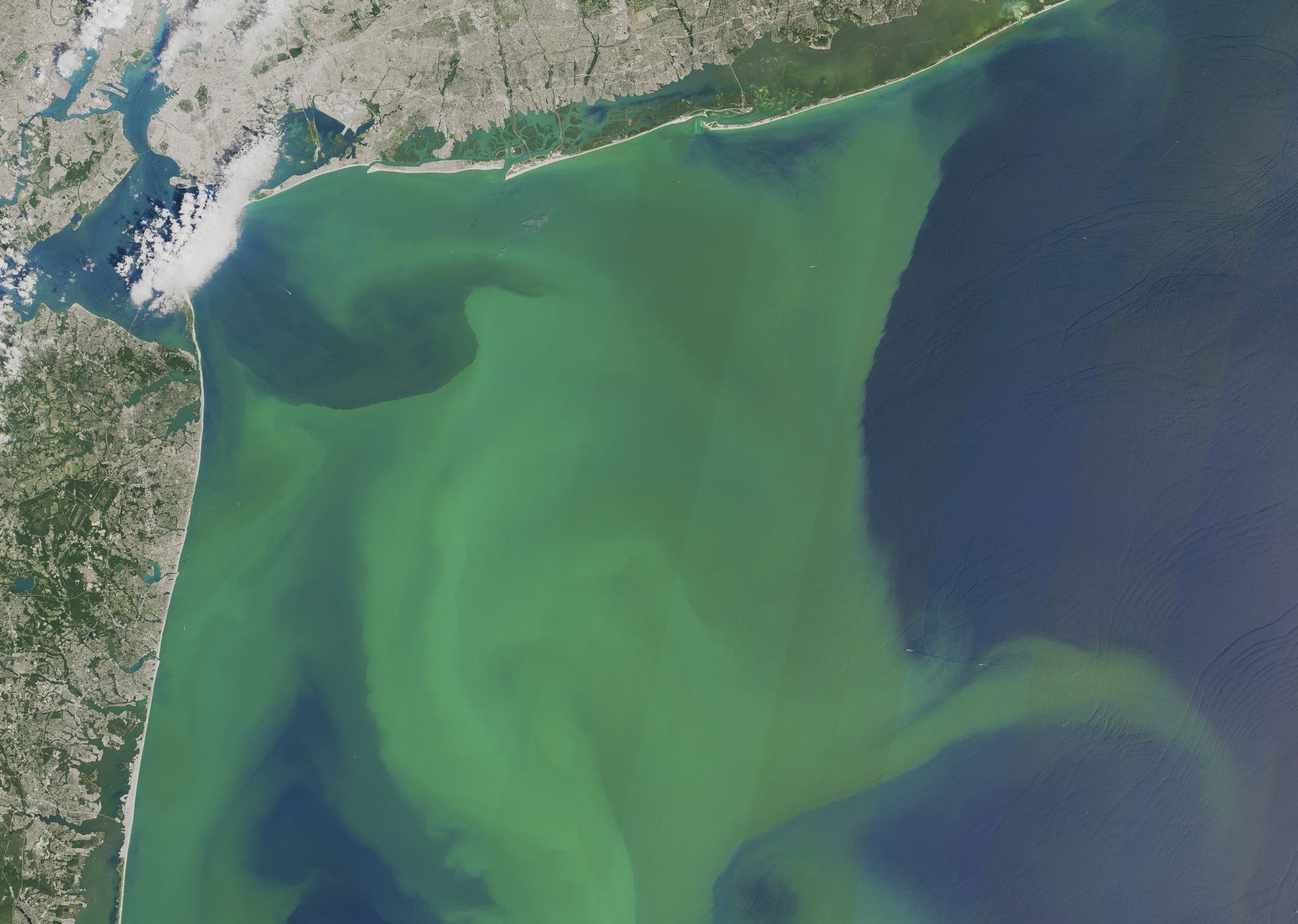 A large bloom of phytoplankton off the northeastern U.S. coast