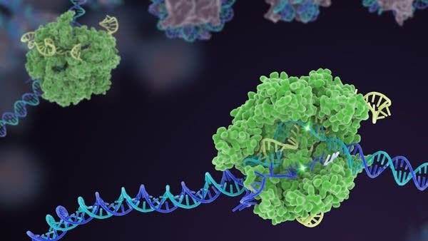 CRISPR pioneer Doudna envisions ending asthma, aiding climate